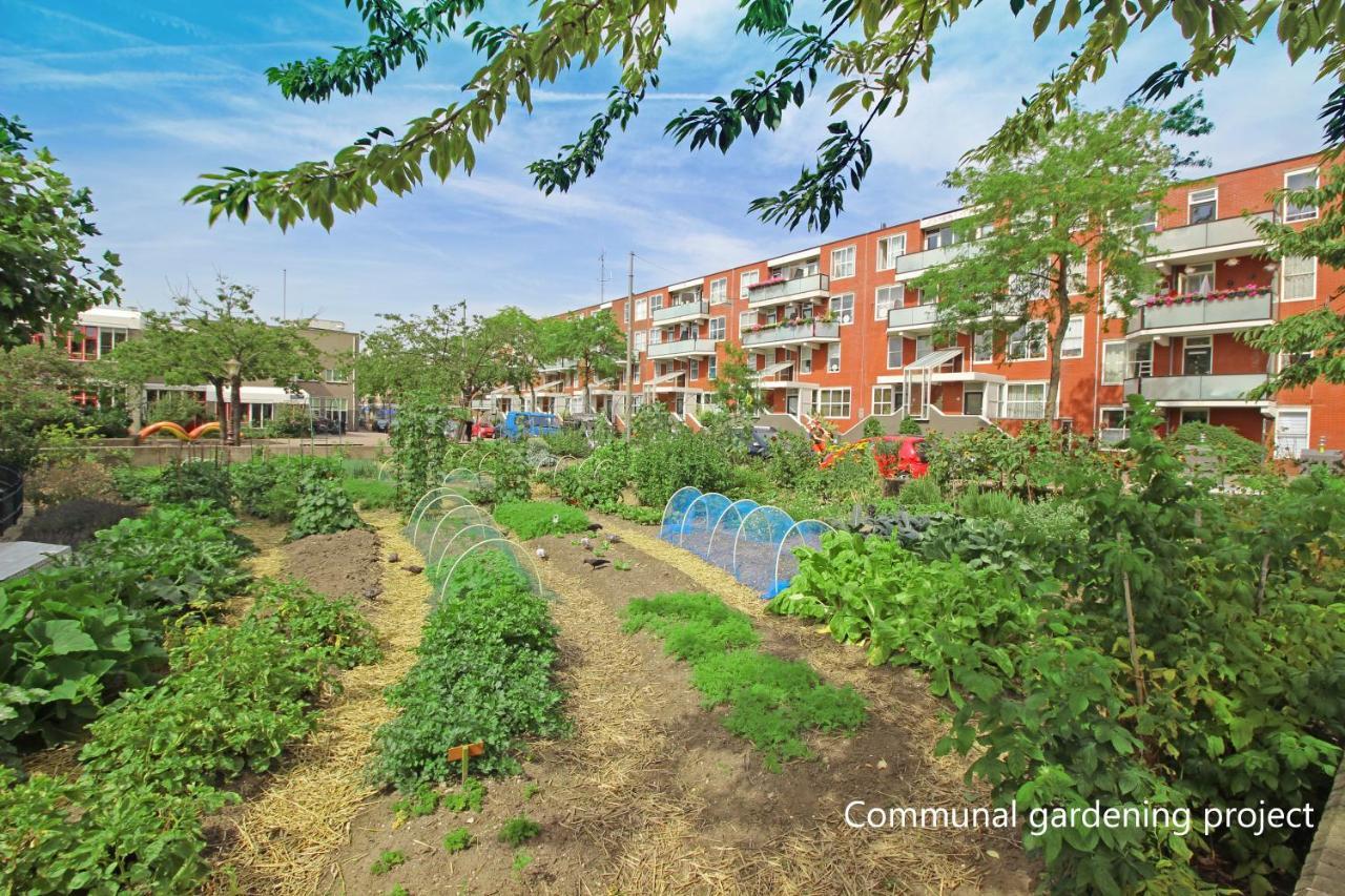 New Monumental Garden View Studio Амстердам Номер фото